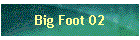Big Foot 02