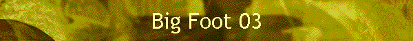 Big Foot 03