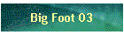 Big Foot 03
