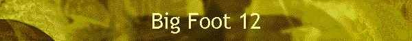 Big Foot 12
