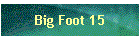 Big Foot 15