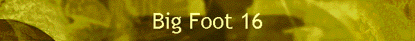 Big Foot 16