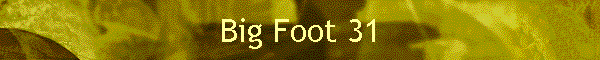 Big Foot 31