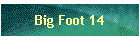 Big Foot 14